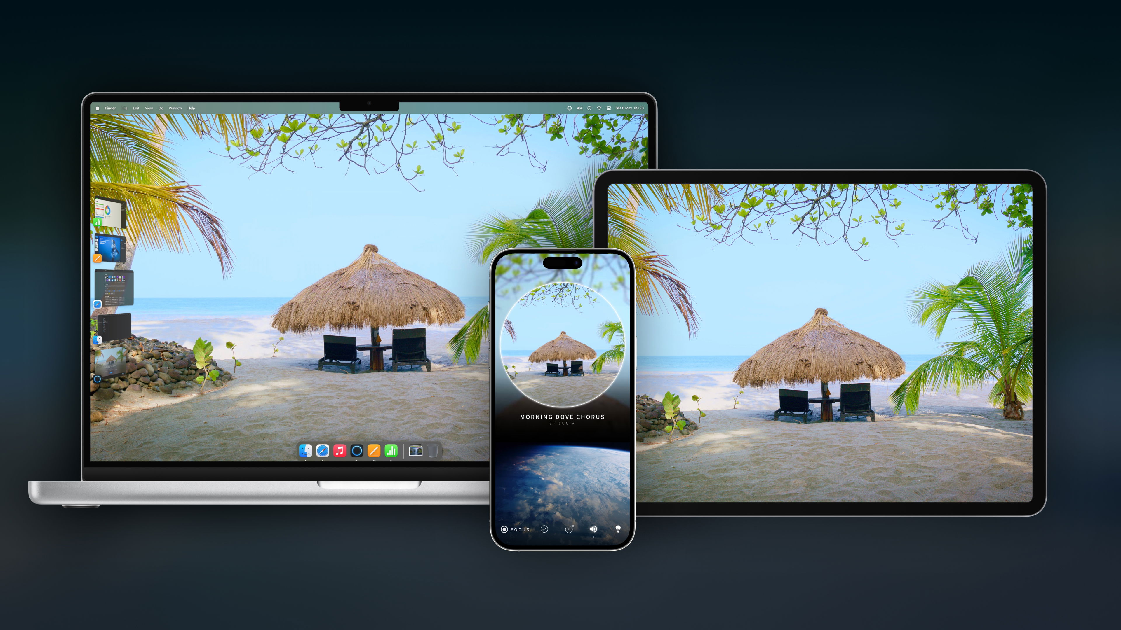 50% off Portal Premium